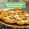 Back to the Roots Organic Pearl Oyster Mushroom Mini Grow Kit, for Indoor Gardening and Cooking