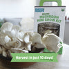 Back to the Roots Organic Pearl Oyster Mushroom Mini Grow Kit, for Indoor Gardening and Cooking
